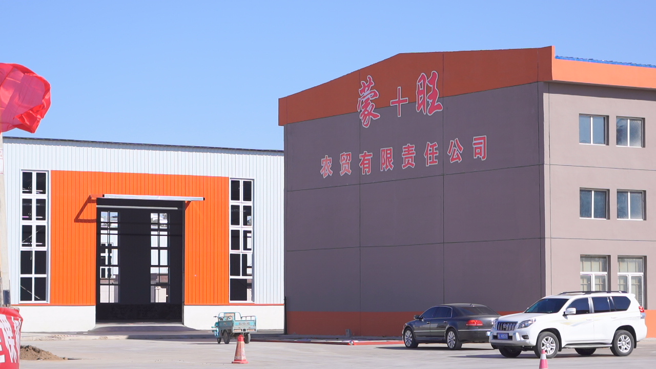 开云 开云体育官网总1124亿！五原县兴农进出口贸易加工园区项目加速推进(图3)